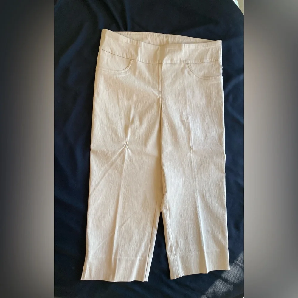 Ruby Rd Capri Pants Sz 12 NWT - Picture 5 of 12